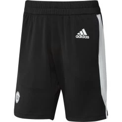 ADIDAS Primeblue Shorts